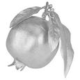 Dekoapfel Noella Silberfarben - Silberfarben, Kunststoff (12,5cm)
