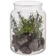 Plantă Artificială Julian - maro/verde, plastic/sticlă (12,5/16cm) Plantă Artificială Julian - maro/verde, plastic/sticlă (12,5/16cm)