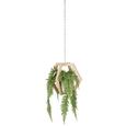 Felfüggeszthető Kaspó Felix - Natúr/Krém, Kerámia/Fa (28/24,3cm) - Mömax modern living Felfüggeszthető Kaspó Felix - Natúr/Krém, Kerámia/Fa (28/24,3cm) - Mömax modern living