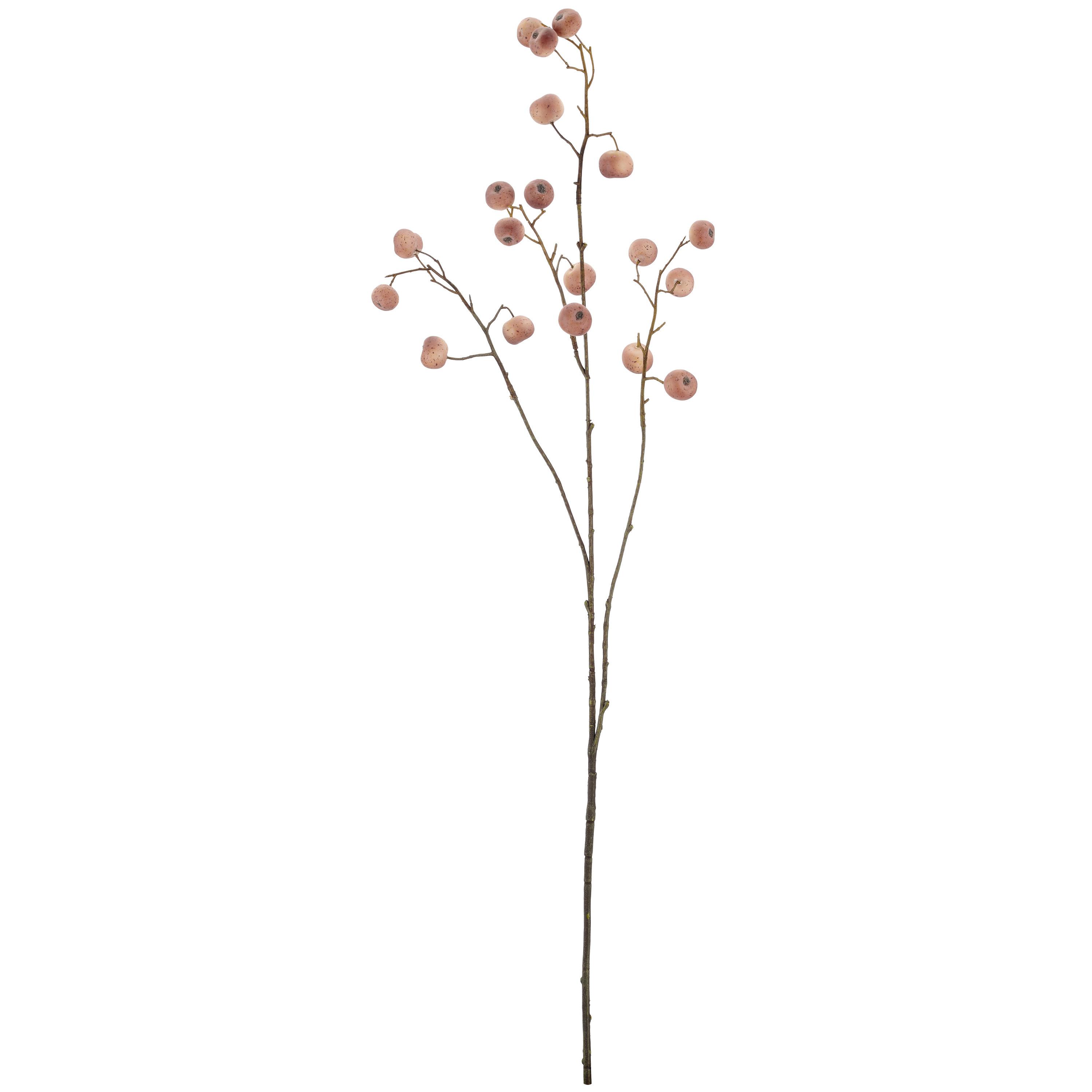 Kunstpflanze Zierapfelzweig I Naturfarben - Naturfarben/Braun, Basics, Kunststoff (17/93/14cm) - Mömax