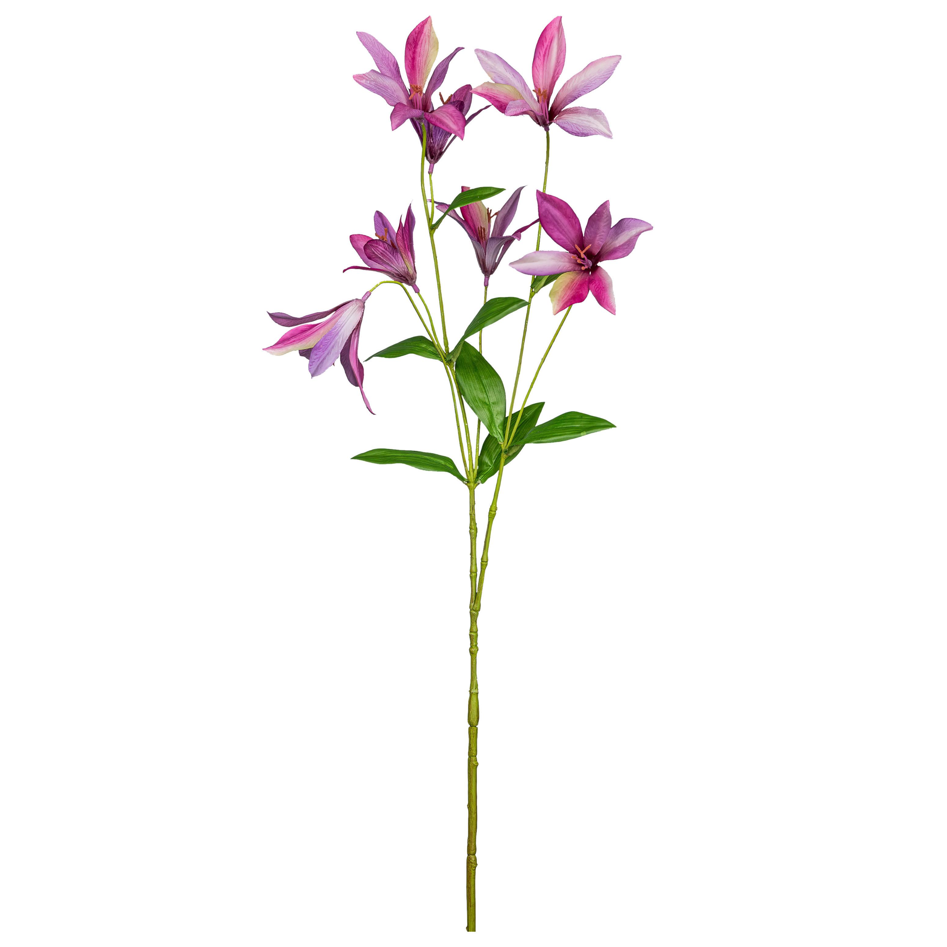 Okrasna Vejica Clematis I - pink/zelena, Konvencionalno, umetna masa (84cm) - Mömax