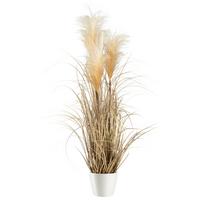 Kunstpflanze Pampasgras in Naturfarben - Naturfarben, MODERN, Kunststoff (76cm) - Modern Living