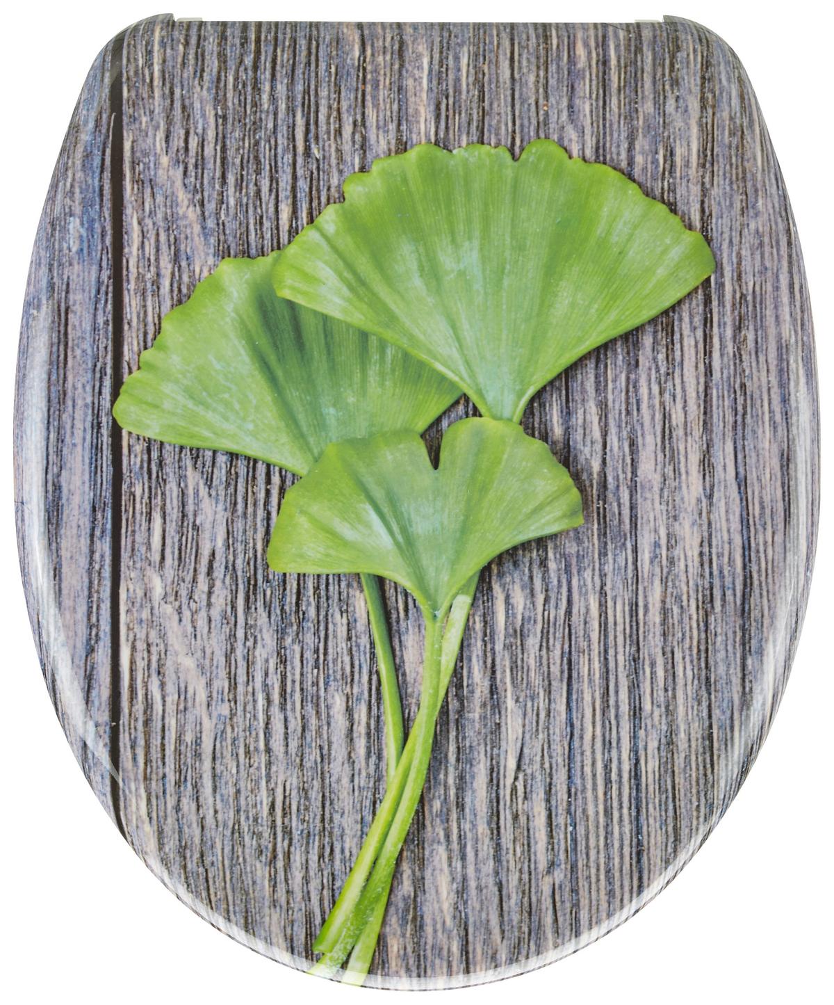 WC-Sitz Gingko mit Absenkautomatik - Braun/Grün, Modern, Kunststoff (38/5,5/45,5cm) - Mömax