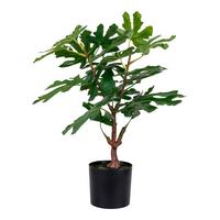 Kunstpflanze Fig Tree Grün - Grün, Design (40/60/40cm)