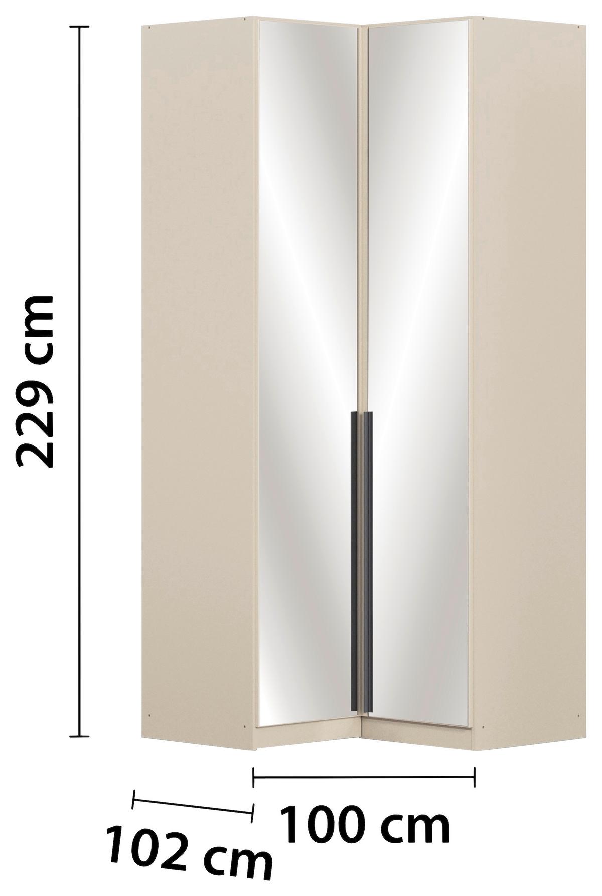 Drehtürenschrank Alabama Champagner - Champagner/Grau, MODERN, Glas/Holzwerkstoff (100/229/102cm) - Rauch Möbel