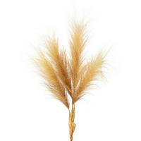 Kunstpflanze Pampasgras II in Naturfarben - Naturfarben, MODERN, Kunststoff (107cm) - Modern Living