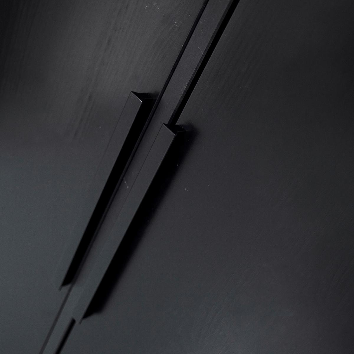 Drehtürenschrank Adam Schwarz B: 100cm - Schwarz, Basics, Holz/Metall (100/200/53cm) - MID.YOU
