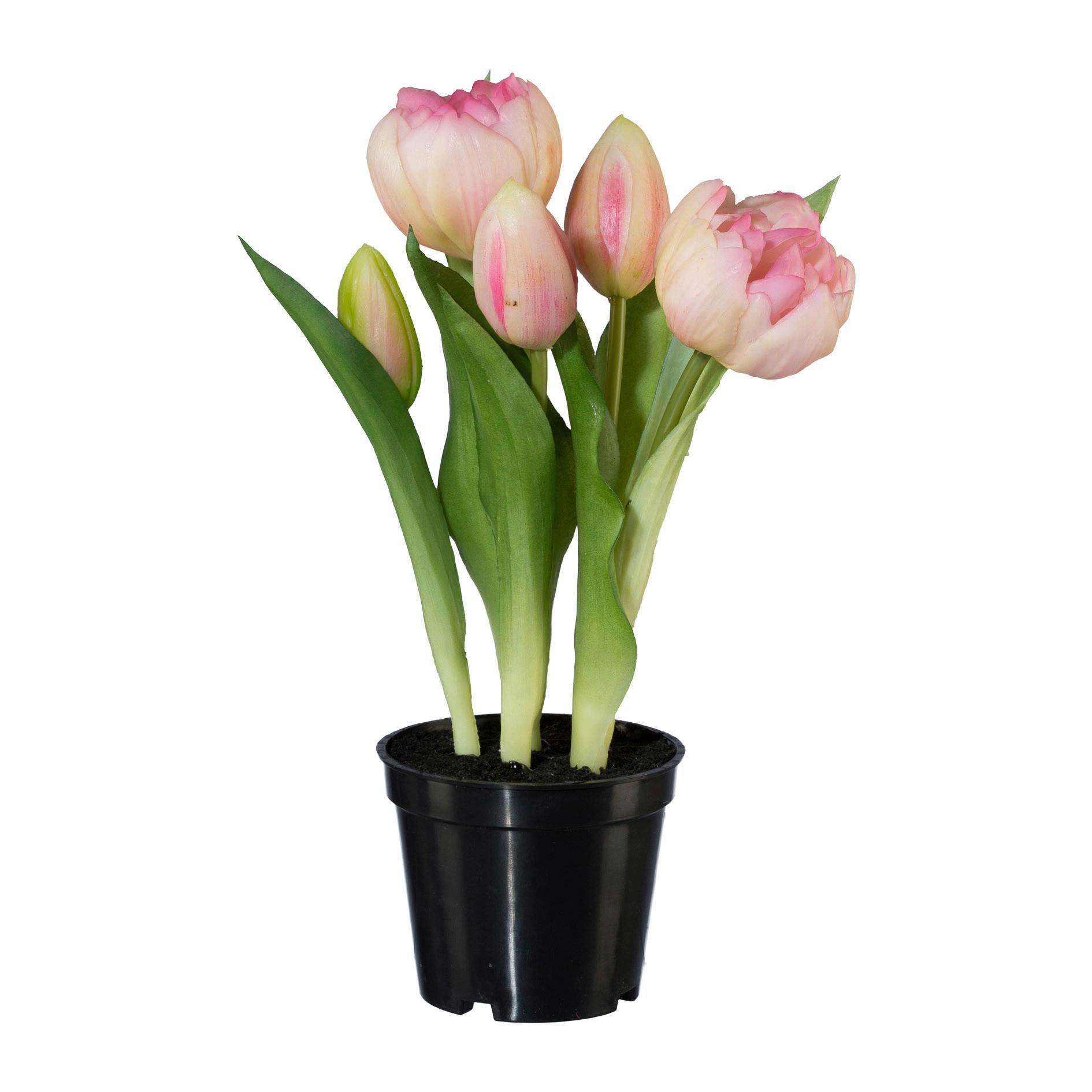 Műnövény Tulipán - Rózsaszín/Zöld, Basics, Műanyag (25cm) - Modern Living