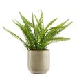 Ghiveci Decorativ Mood - bej, ceramică (12,5/13cm) - Modern Living Ghiveci Decorativ Mood - bej, ceramică (12,5/13cm) - Modern Living
