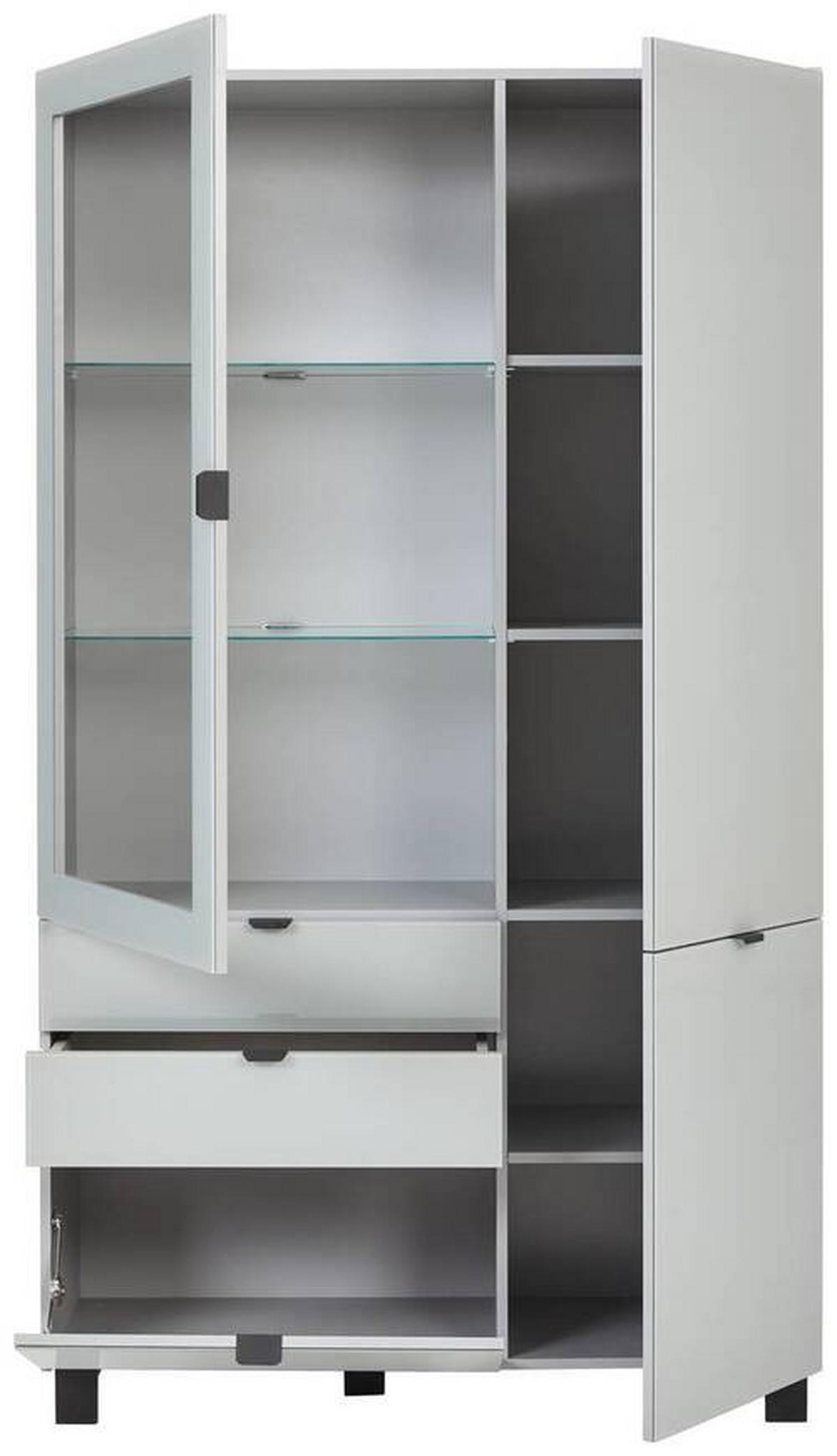 Vitrina Poole, Siva - siva/črna, Design, kovina/umetna masa (109,7/190,7/41,4cm) - Hom`in