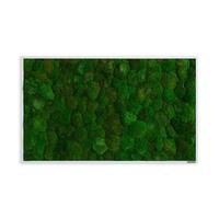 Moosbild Grün - Weiß/Grün, Basics, Naturmaterialien/Holz (100/60/7cm)