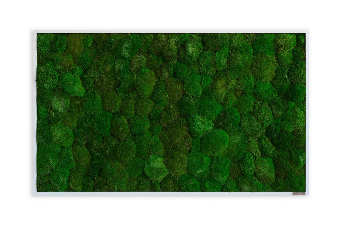 Moosbild Grün - Weiß/Grün, Basics, Naturmaterialien/Holz (100/60/7cm)