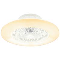 Stropni Ventilator 03628 - srebrne barve/bela, Basics, kovina/umetna masa (50/17,5cm) - Globo