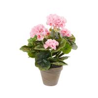 Umetna Rastlina Greta - Konvencionalno (20/34cm) - Mömax