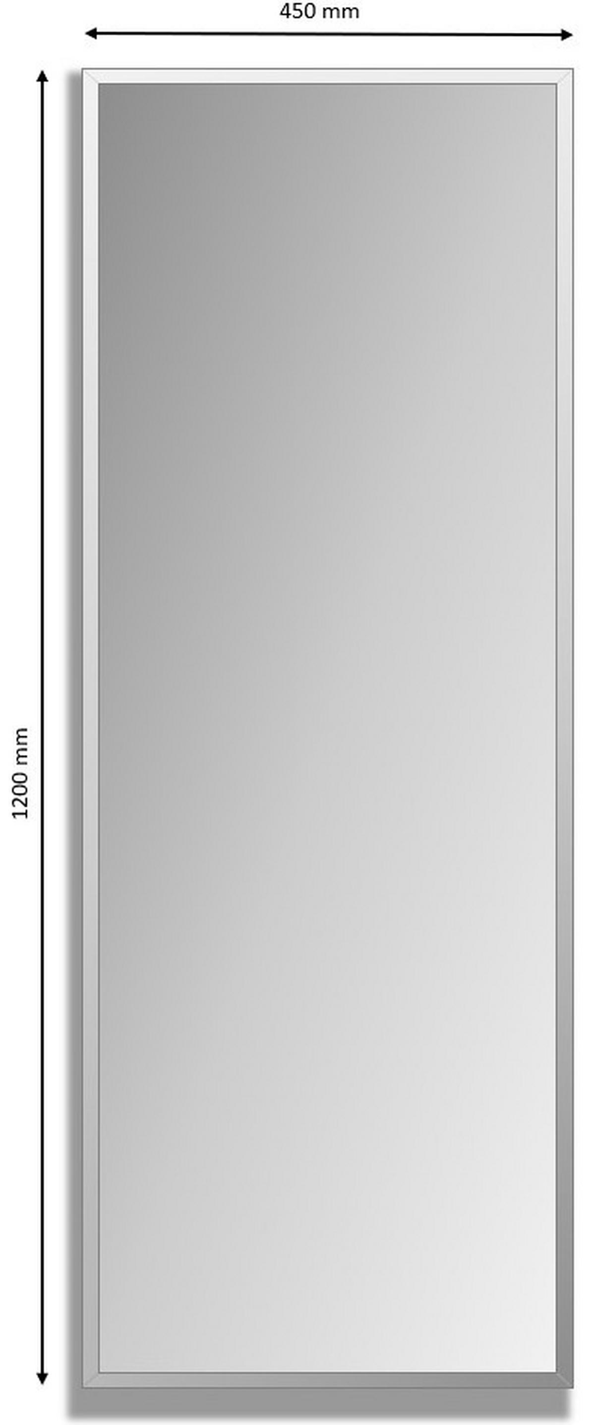 Oglindă de perete CRYSTAL 108-119 - Modern, sticlă (45/120/0,3cm) - Modern Living