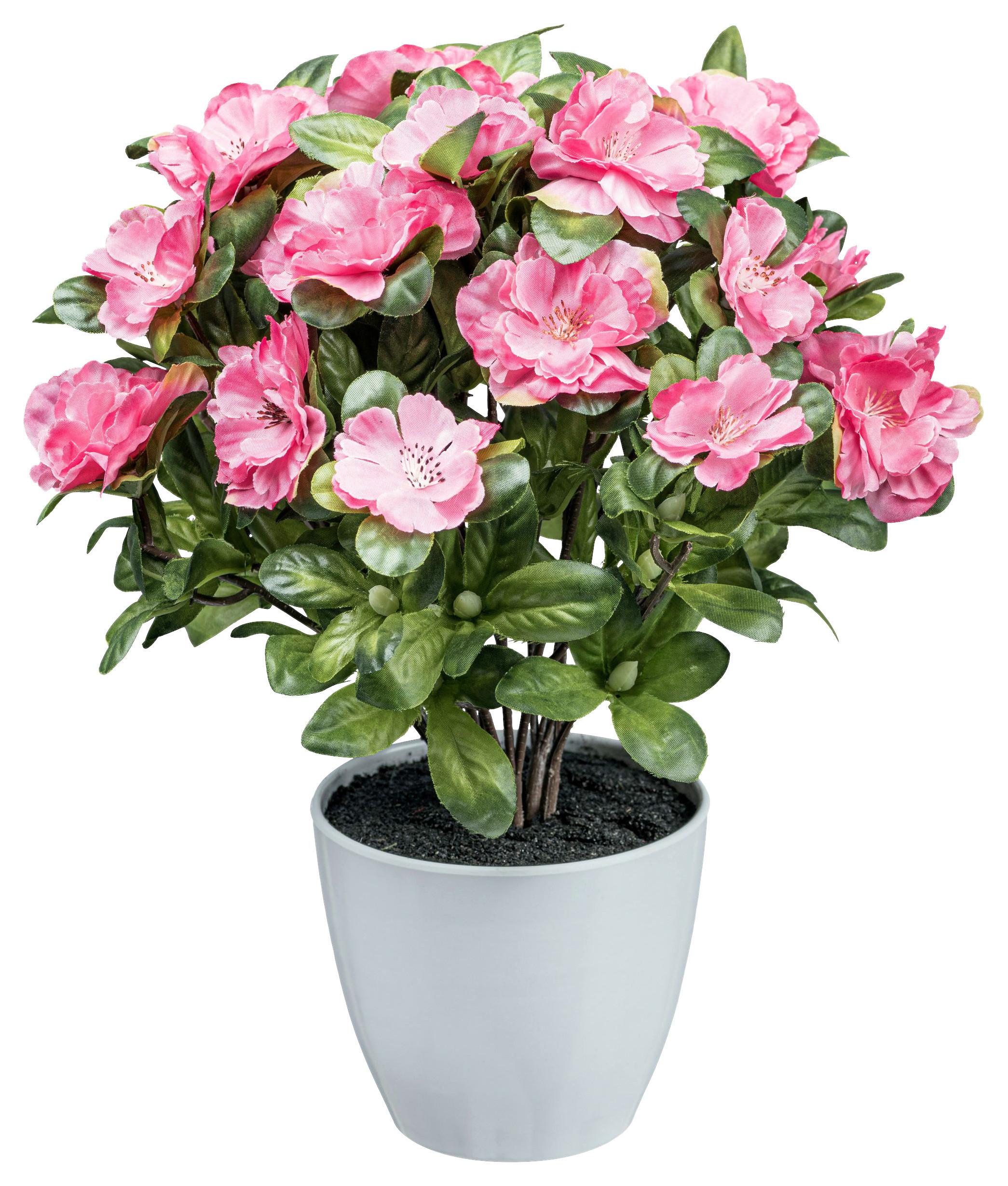 Kunstpflanze Azaleenbusch I in Dunkelrosa - Dunkelrosa/Weiß, KONVENTIONELL, Kunststoff (32cm) - Modern Living