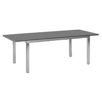 Raztegljiva Vrtna Miza Gardenson, Siva, 180-240x100 - srebrne barve/siva, Moderno, kovina/steklo (180/100/75cm) - Gardenson