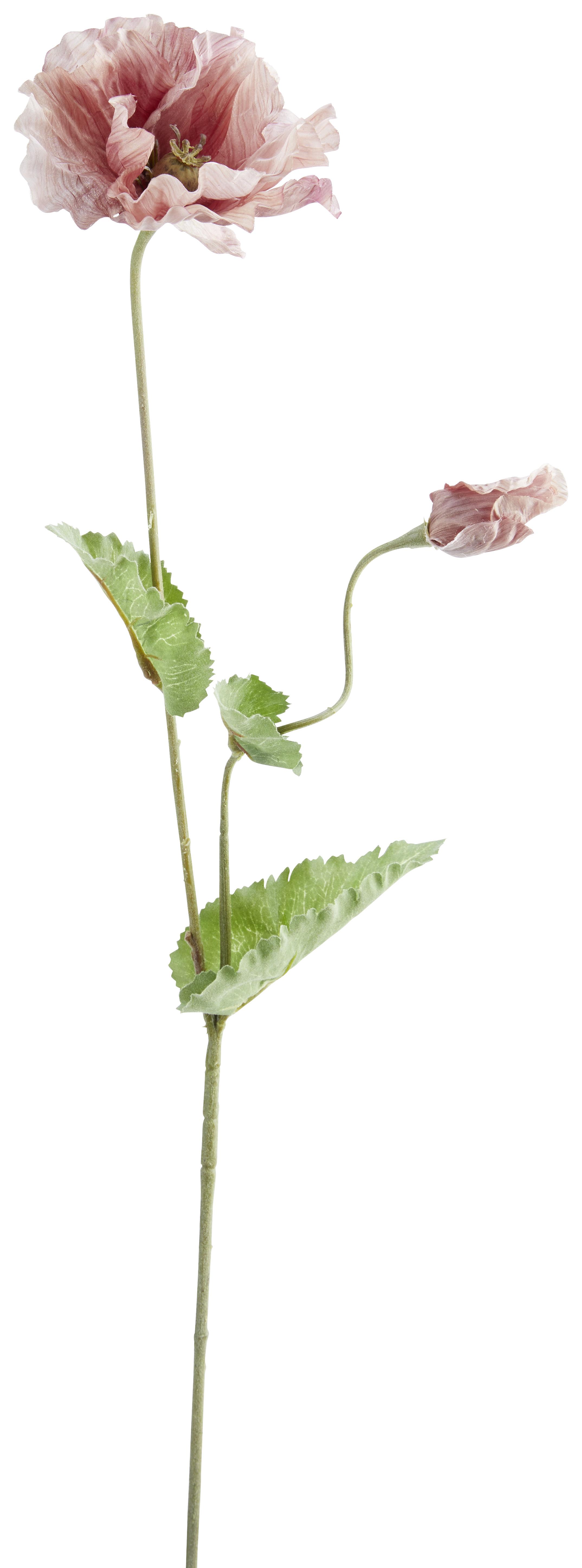 Umjetno Cvijeće Mak 73cm - ružičasta/zelena, Romantik / Landhaus, tekstil/plastika (73cmcm)