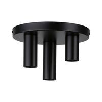Deckenleuchte Skogen in Schwarz max. 20 Watt - Schwarz, Basics, Metall (24/14,5cm) - Paulmann