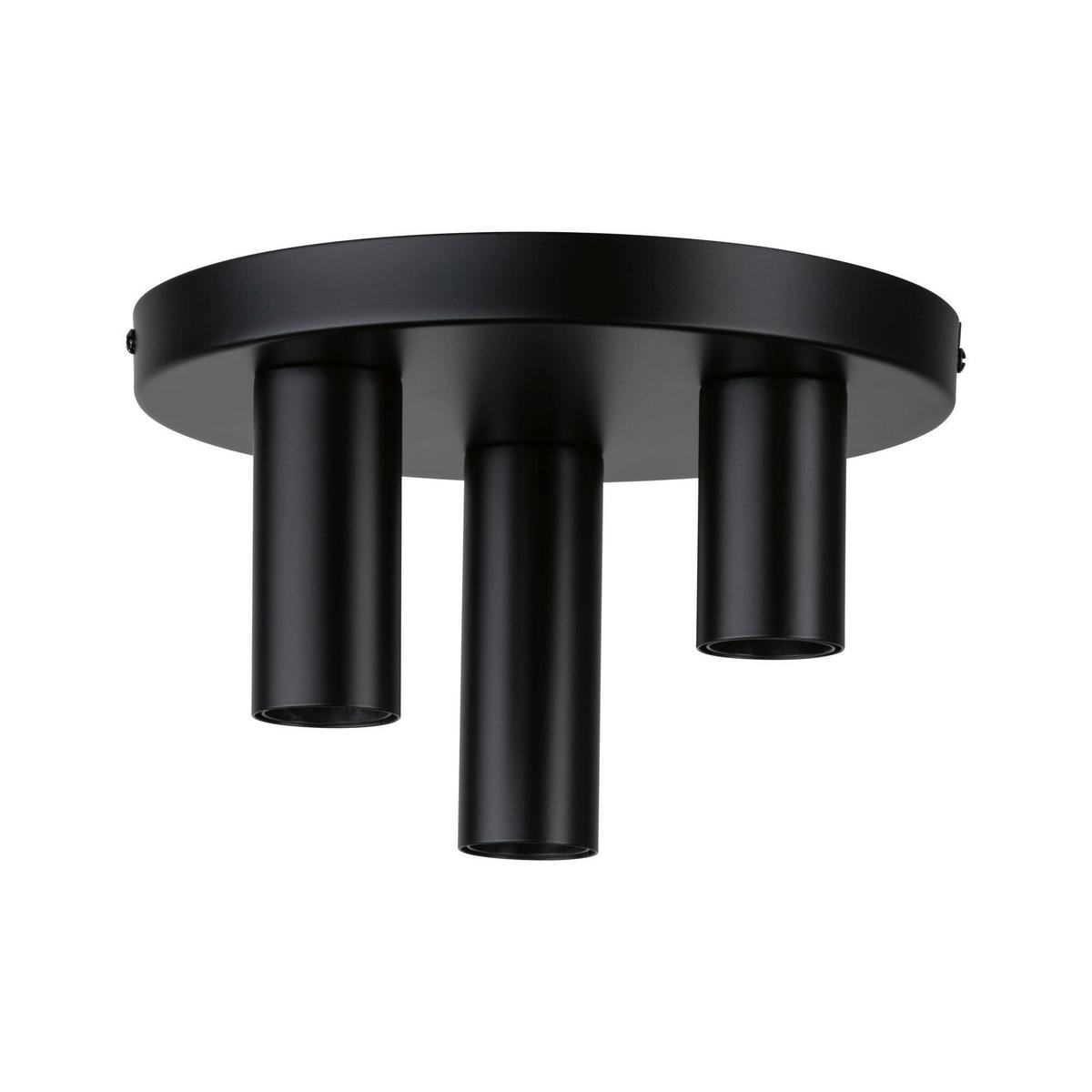Deckenleuchte Skogen in Schwarz max. 20 Watt - Schwarz, Basics, Metall (24/14,5cm) - Paulmann