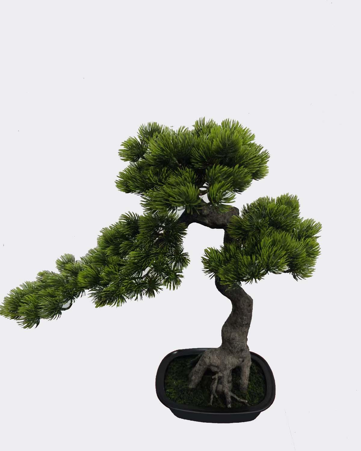 Műnövény Cypress Pine - barna/zöld, műanyag (50/30/48cm)