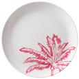 Farfurie Desert Diamond Palm - roz aprins/alb, plastic (20cm) - Modern Living Farfurie Desert Diamond Palm - roz aprins/alb, plastic (20cm) - Modern Living