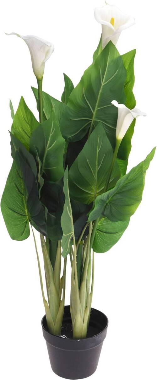 Műnövény Boston - műanyag (25/96/25cm)