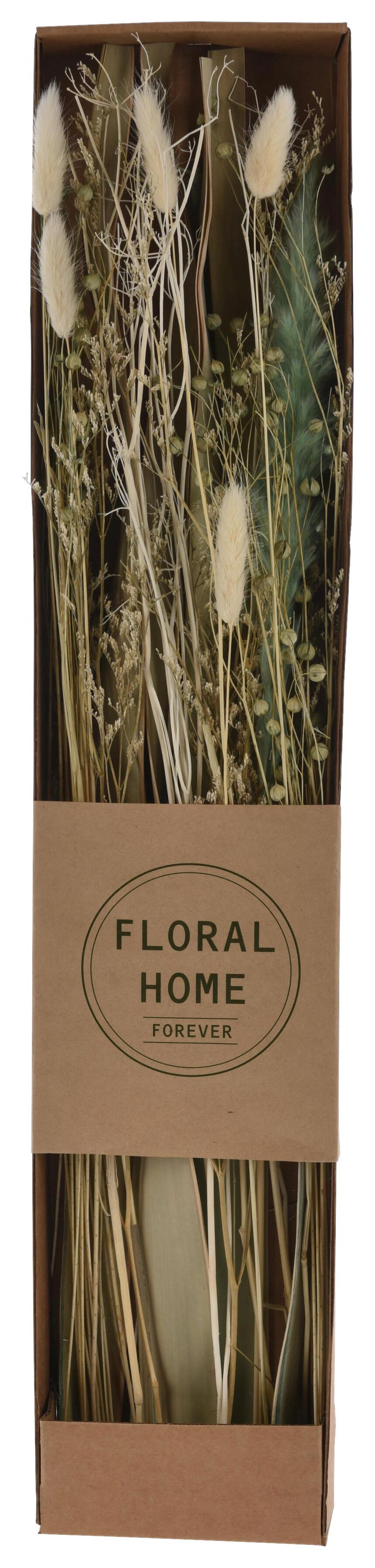 Trockenblume Mira diverse Farben - Dunkelbraun/Beige, Basics, Naturmaterialien (12/60/3,5cm)