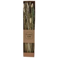 Trockenblume Mira diverse Farben - Dunkelbraun/Beige, Basics, Naturmaterialien (12/60/3,5cm)