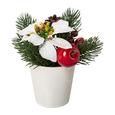 Plantă De Decor Poinsettien-Apfel - alb/verde, Konventionell, ceramică/plastic (14,5cm) Plantă De Decor Poinsettien-Apfel - alb/verde, Konventionell, ceramică/plastic (14,5cm)