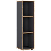 Pisarniški Regal Salia B30, Antracit, Barva Hrasta - črna/medeni hrast, Design, umetna masa/leseni material (30/110/33cm) - MID.YOU