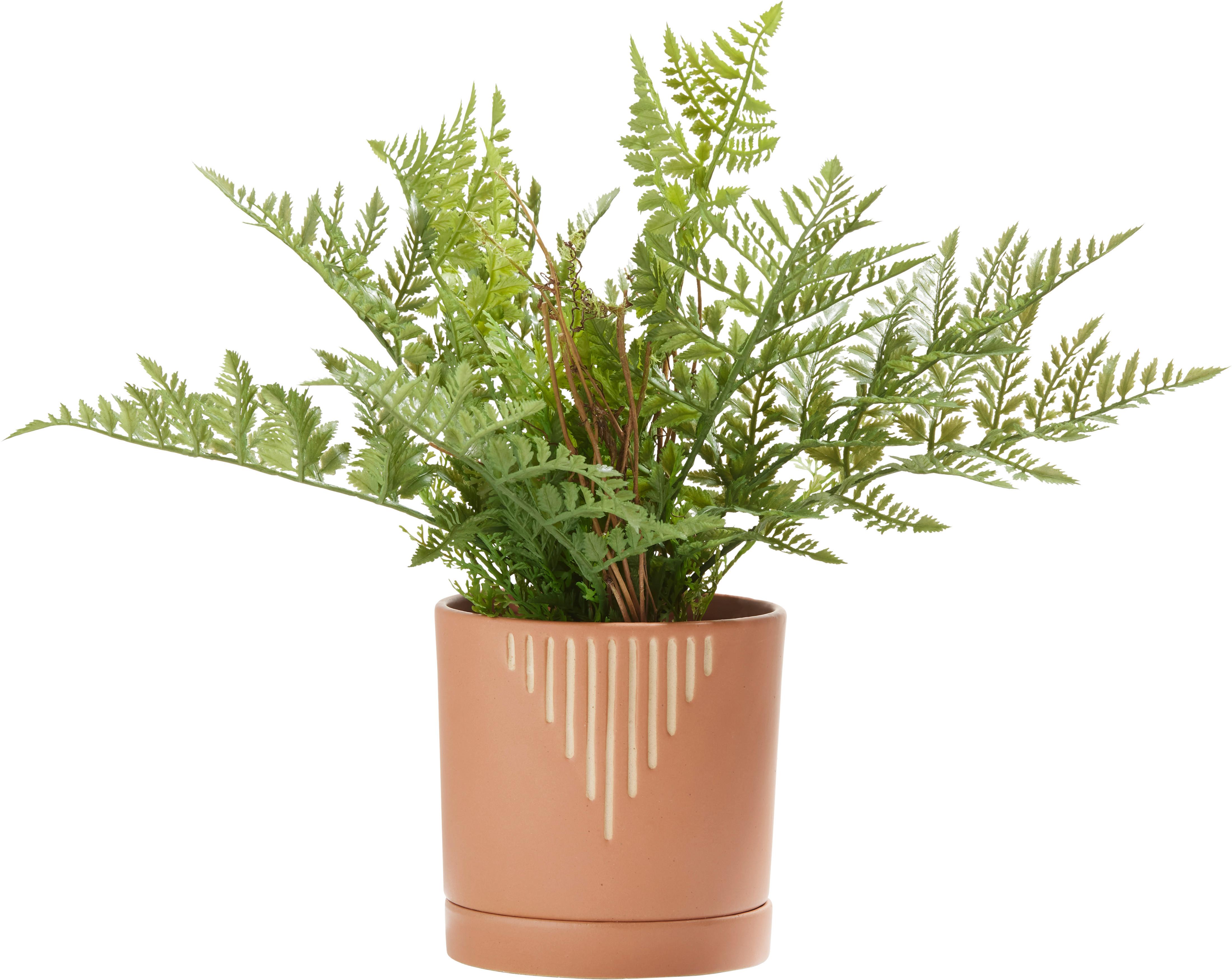 Ghiveci decorativ Line - teracotă/nisipiu, ceramică (13,6/13,9cm) - Modern Living