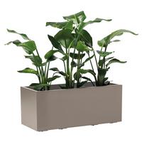 Blumenkasten Taupe - Taupe, Basics, Kunststoff (99,5/39,5/39,5cm)