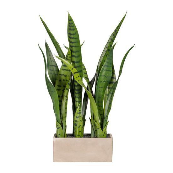 Plantă artificială Vitus - verde, plastic (58cm)