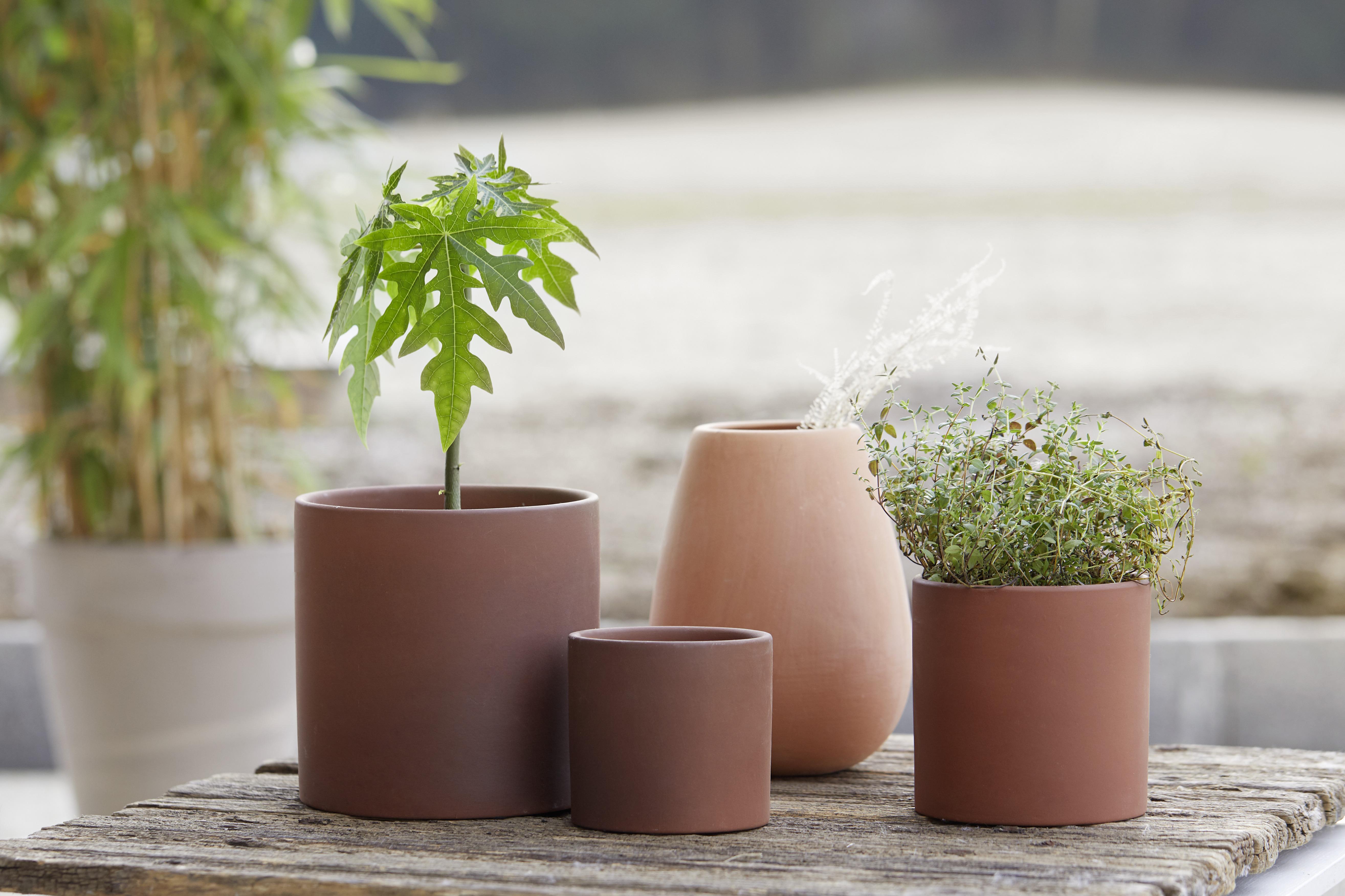 Cvetlični Lonček Terra - terakota, keramika (16,5/16cm) - Modern Living