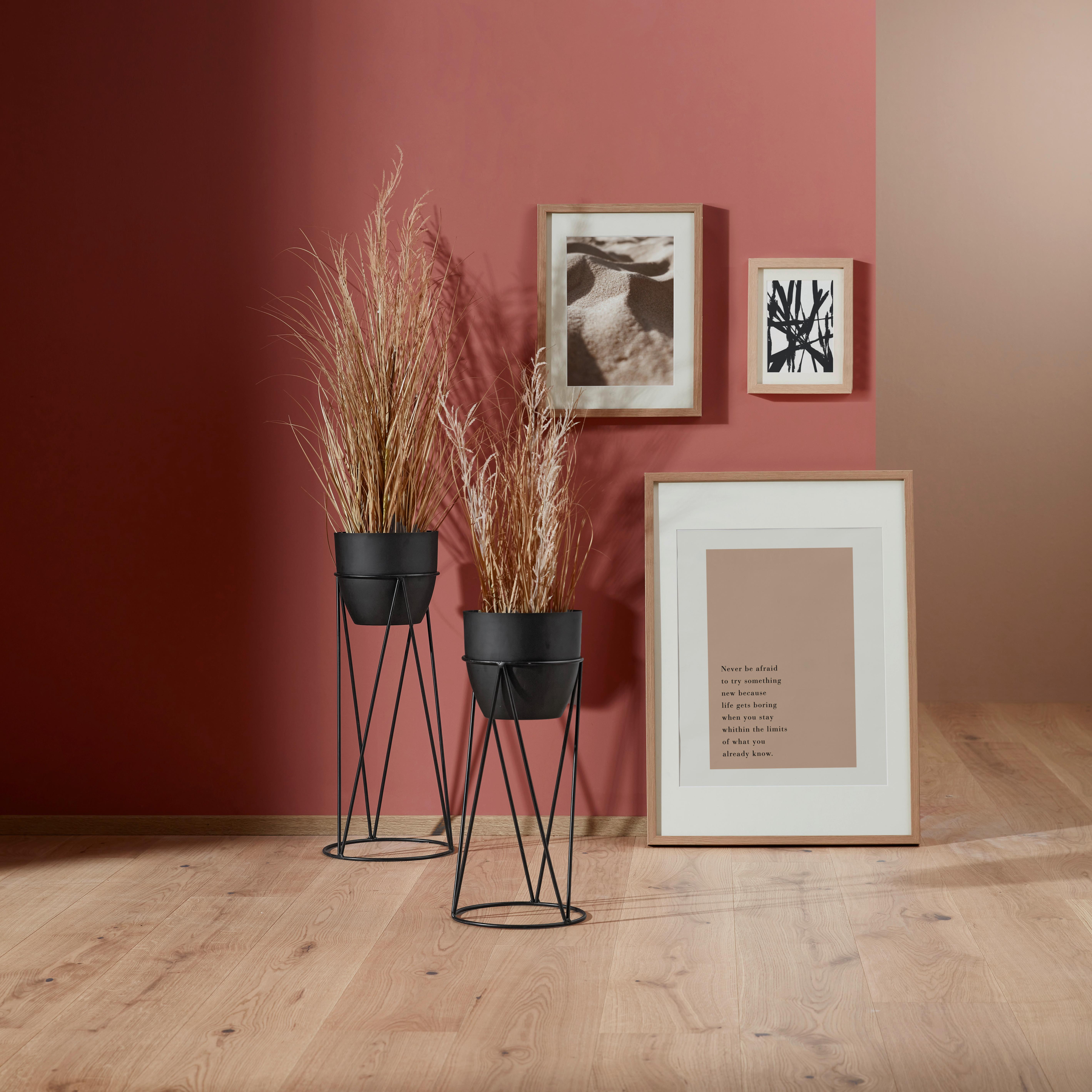 Műnövény Vízipálma - natúr színű/fekete, Basics, műanyag (60cm) - Modern Living