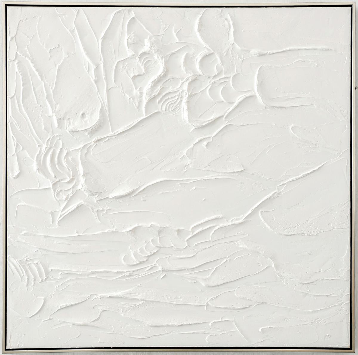 OBRAZ OLEJNY L-28589-1C - kolor srebrny/biały, Design, tworzywo sztuczne/drewno (85/85cm) - Monee