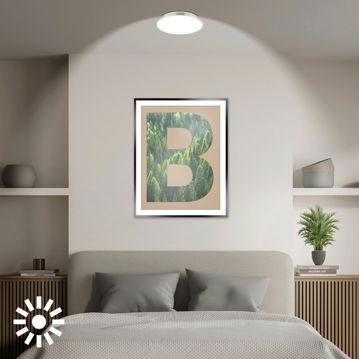 LAMPA SUFITOWA LED 3935012 KAIDA - kolor niklowy, Basics, tworzywo sztuczne/metal (33/6cm)