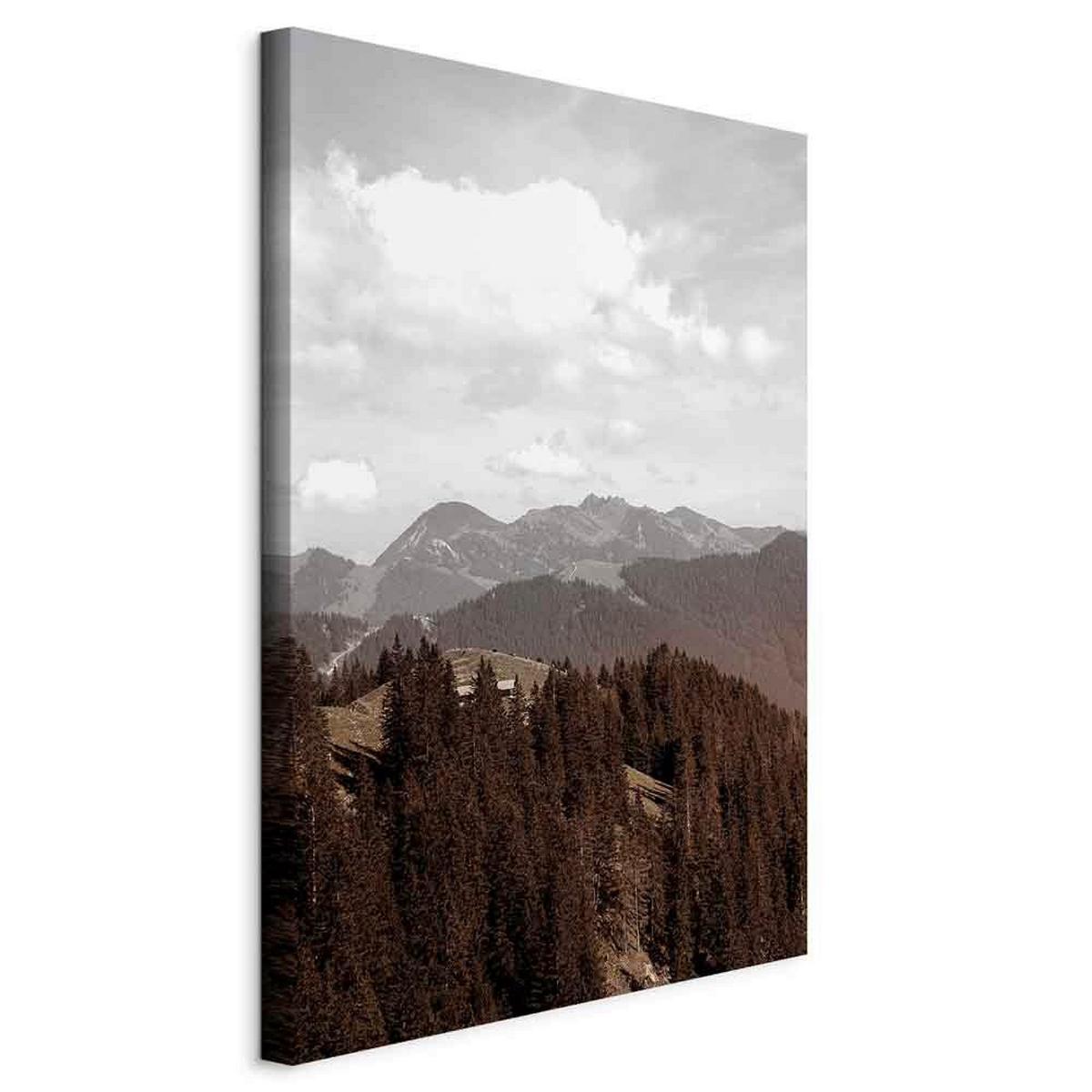 Slika Na Platnu Landscape - bela/rjava, Basics, tekstil/leseni material (40/60/1.2cm) - artgeist