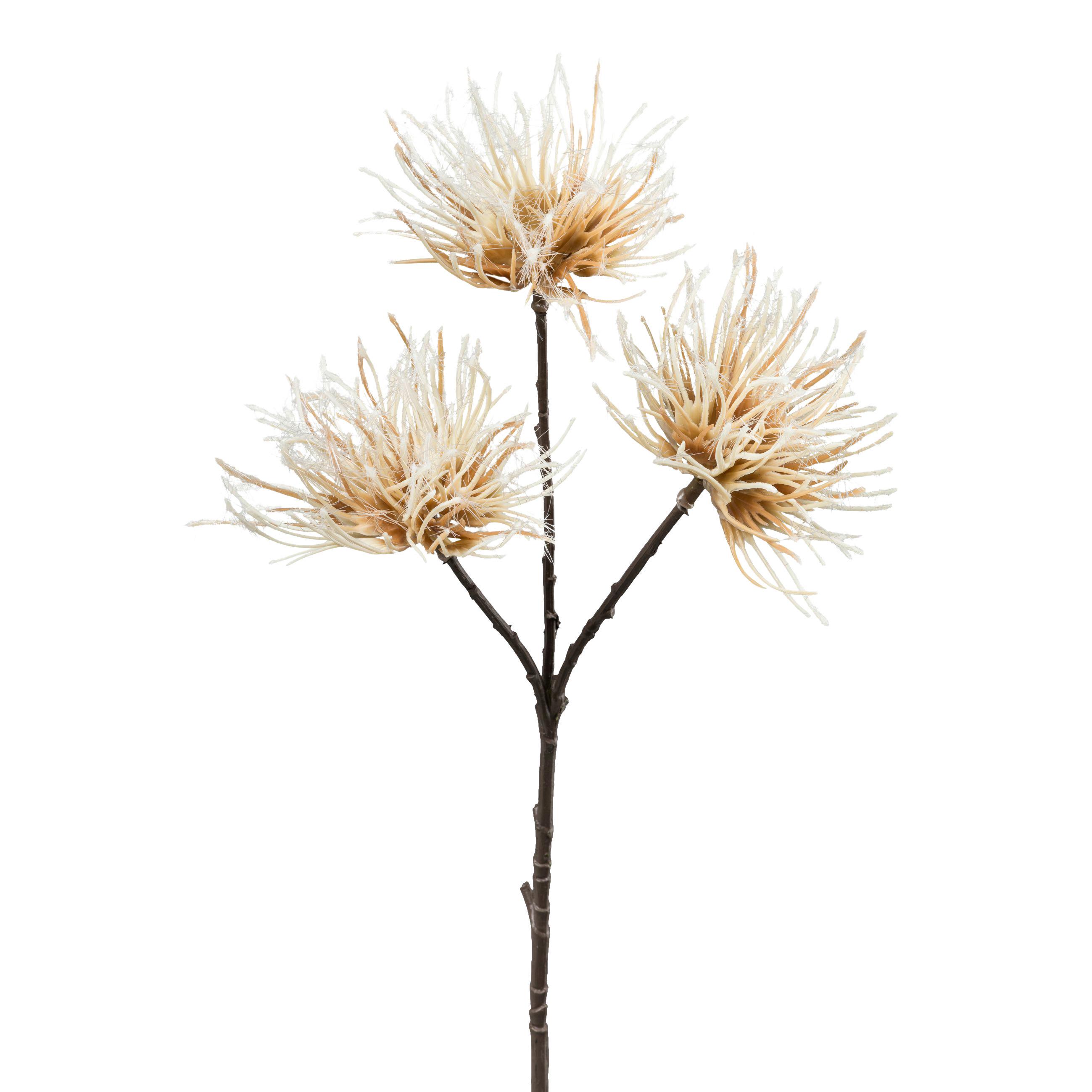 GAŁĄZKA DEKORACYJNA URCHINZWEIG I - kremowy/brązowy, Konventionell, tworzywo sztuczne (37cm) - Modern Living