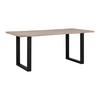 MATBORD ELICIA - svart/ekfärgad, Modern, metall (180/90/76cm) - Bessagi Home