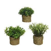 Plantă decorativă Pure Natural - Lifestyle (16/13cm)