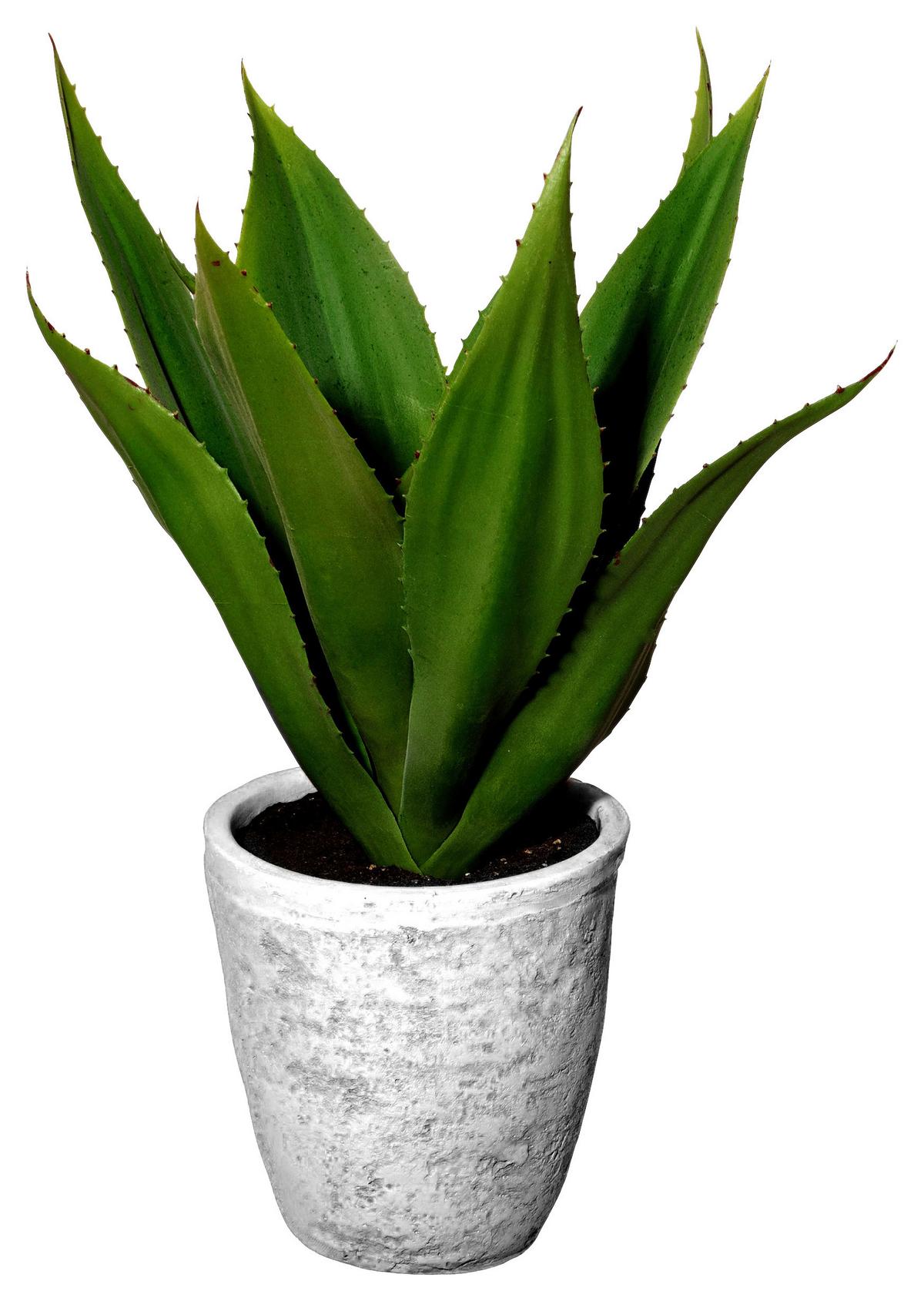 plante artificielle in Grün - gris/vert, Basics, céramique/matière synthétique (38cm) - Modern Living
