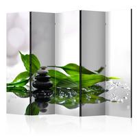 Paravan Zen I, 5-Delni, Enostranski - siva/zelena, Basics, tekstil/les (225/172/3cm) - artgeist