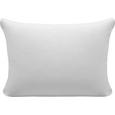 Prevleka Blazine Basic 15101 - platinasta, tekstil (70/90cm) - Mömax modern living Prevleka Blazine Basic 15101 - platinasta, tekstil (70/90cm) - Mömax modern living