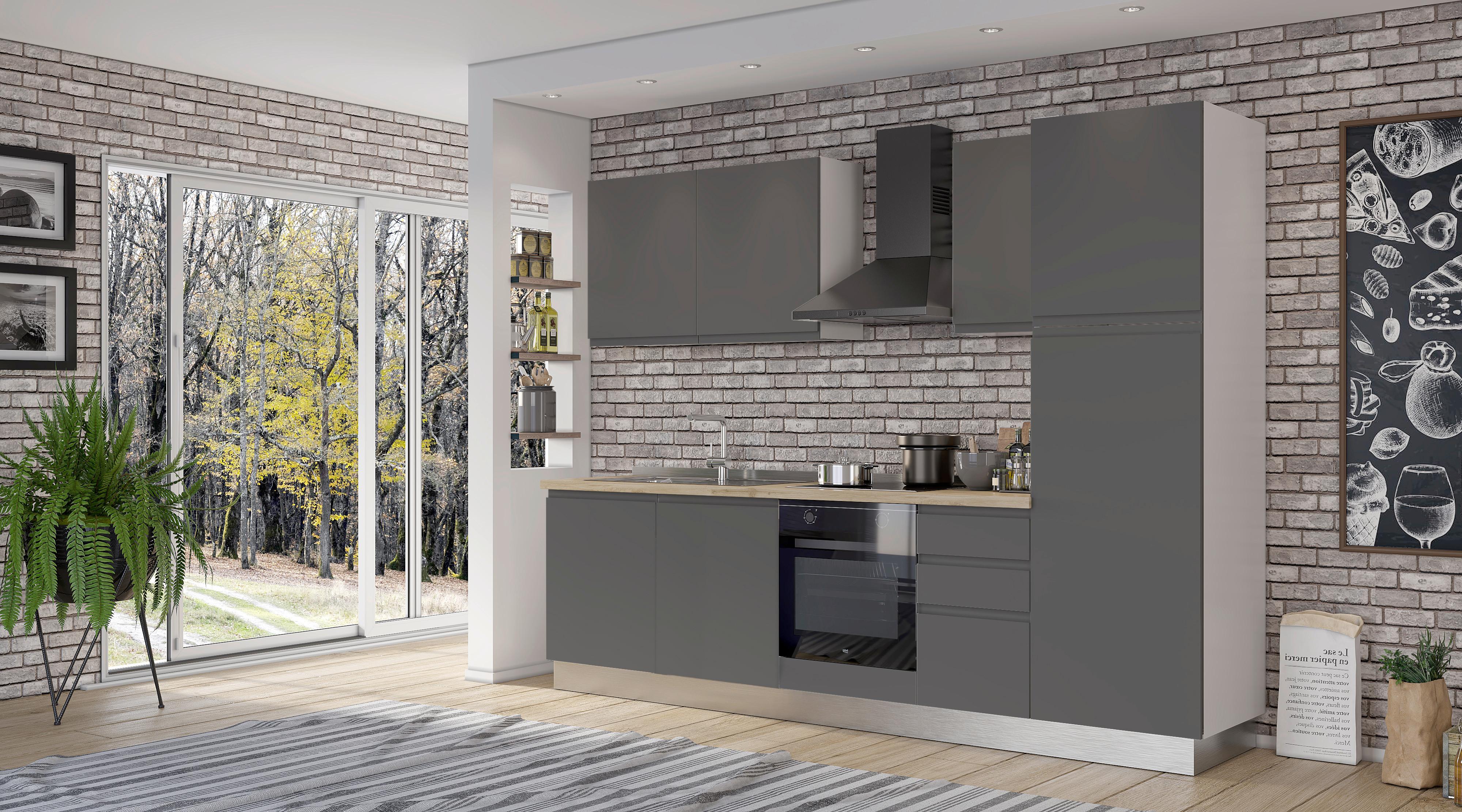 Blok Kuhinja Sa Uređajima Gilda Gola - sivo-braon/bela, Moderno, drvo/pločasti materijal (285/216/60cm) - Modern Living