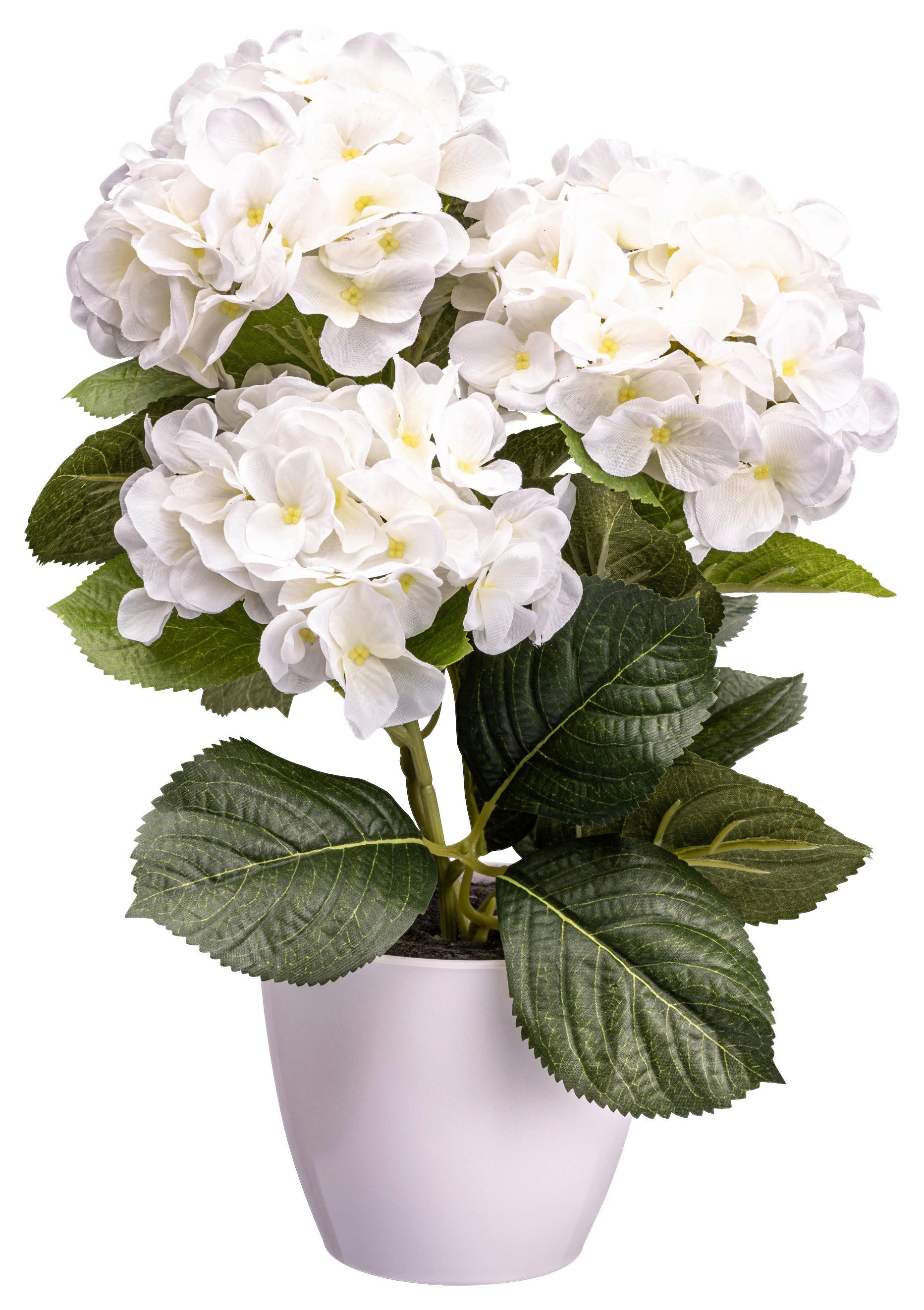 Kunstpflanze Begonienbusch I in Weiß - Dunkelrosa/Creme, KONVENTIONELL, Kunststoff (32cm) - Modern Living