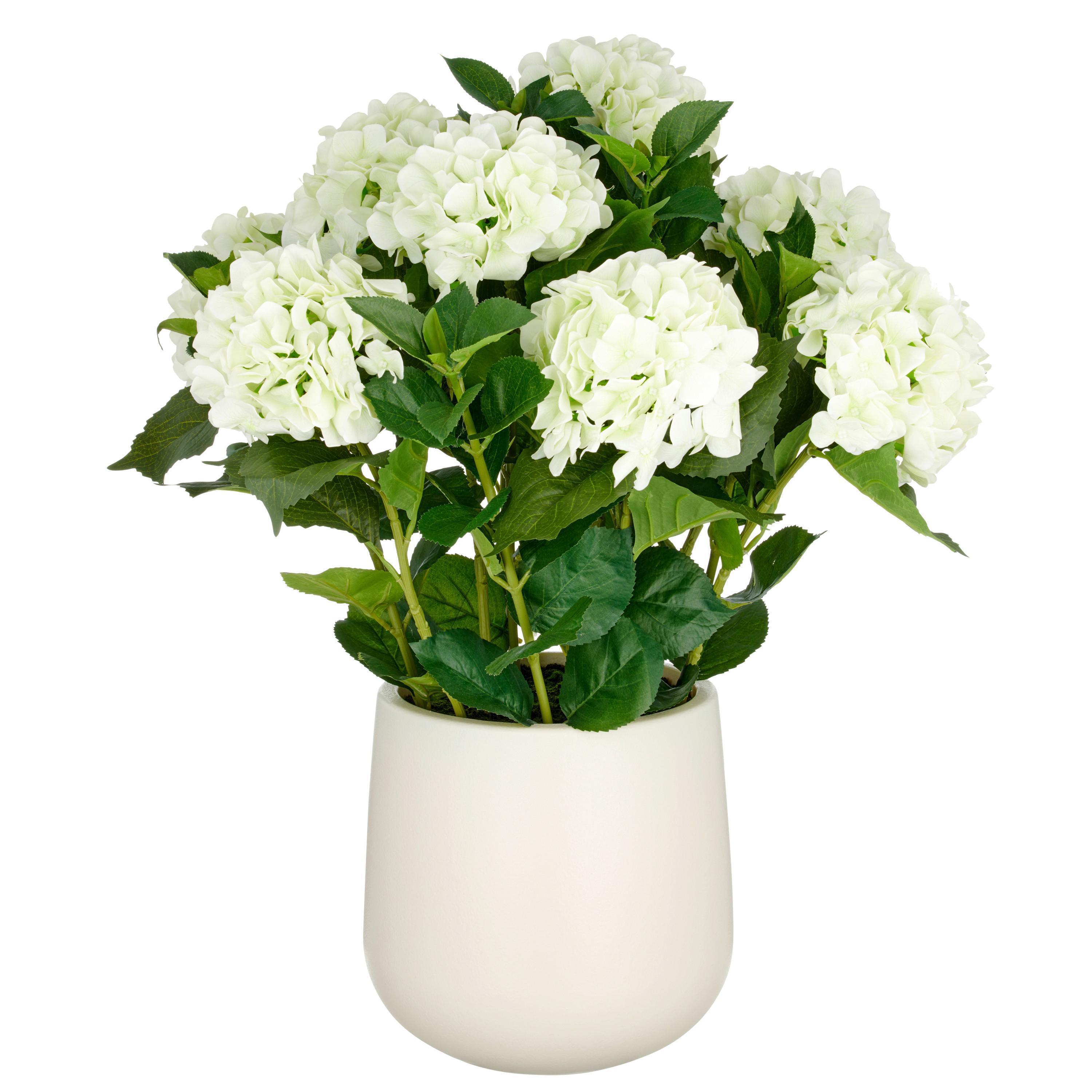 Kunstpflanze Hortensien Creme ca. 75cm - Creme/Grün, Basics, Kunststoff (25/75/25cm)