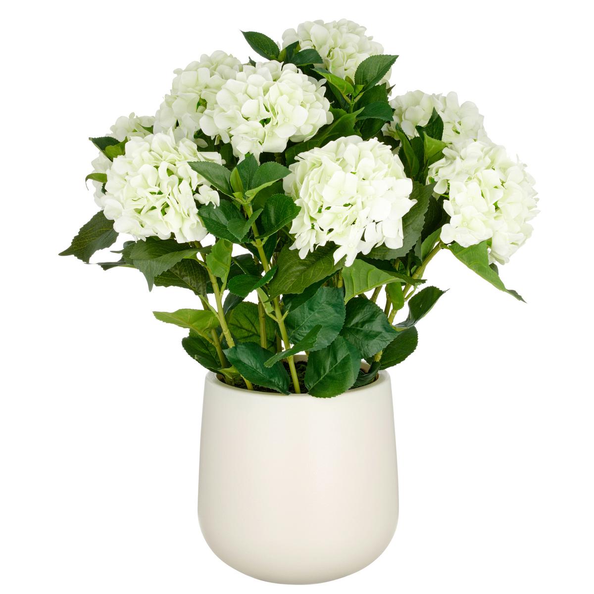 Kunstpflanze Hortensien Creme ca. 75cm - Creme/Grün, Basics, Kunststoff (25/75/25cm)