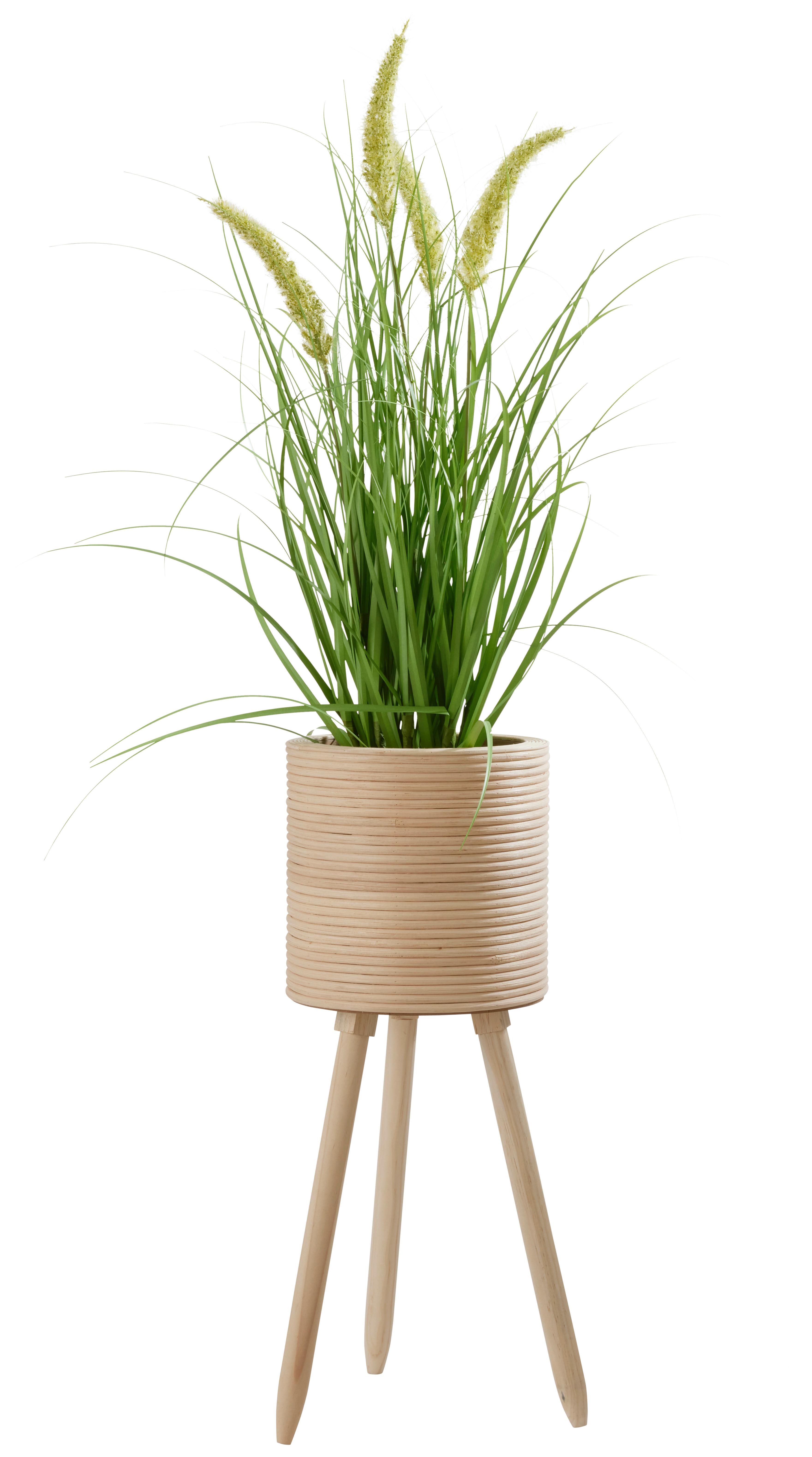 Kaspó Bamboo - natúr, fa (21,5/56cm) - Premium Living
